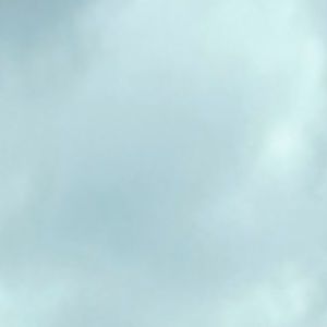 Meet your Posher, Renna